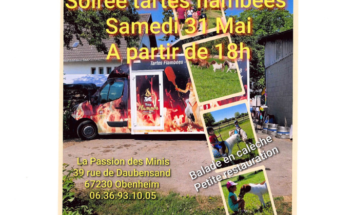 La Passion des Minis