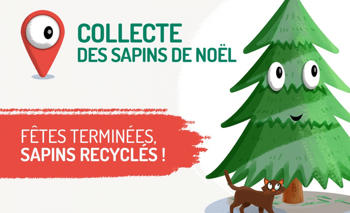 Dépôt de sapins