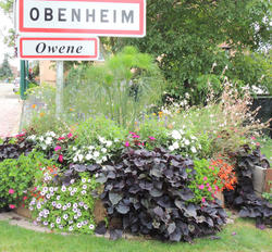 fleurissement-obenheim-08